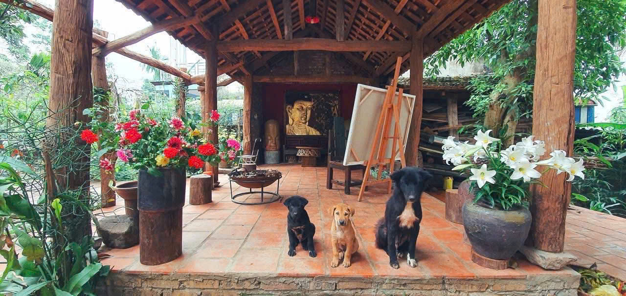 Bán villa 1228m2, 400m2 thổ cư hoàn thiện full NT cao cấp_Tân Vinh Lương Sơn_1x tỷ - Ảnh 5